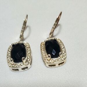 Elegant Black and Silver  Leave her back Earrings